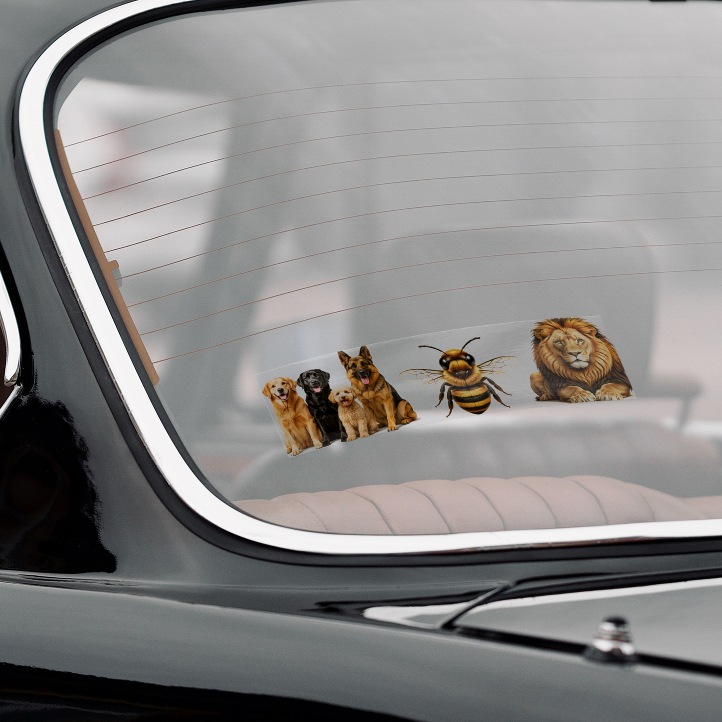 Bumper Sticker: Clear